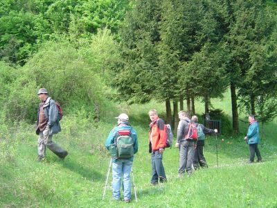 Drago Lipič - Haloze 2008
Drago Lipič - Haloze 2008
Ključne besede: Drago Lipič Haloze