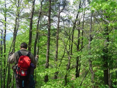 Drago Lipič - Haloze 2008
Drago Lipič - Haloze 2008
Ključne besede: Drago Lipič Haloze