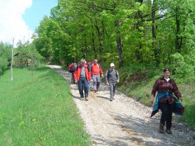 Drago Lipič - Haloze 2008
Drago Lipič - Haloze 2008
Ključne besede: Drago Lipič Haloze