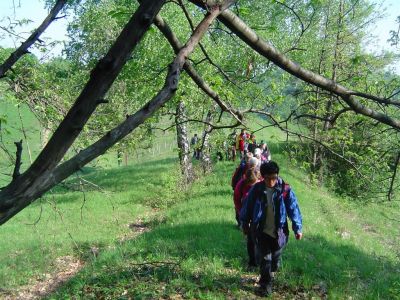 Drago Lipič - 2 Vindišev pohod - HALOZE 2005
