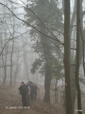 Boc_2026-012.jpg