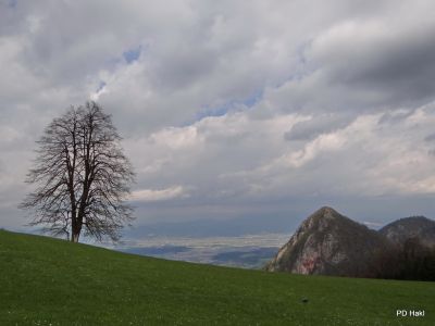 Marjan_Fistravec_Cemseniska_planina_2014-039.JPG