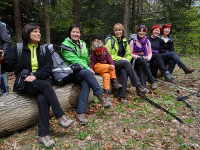 Marjan_Fistravec_Cemseniska_planina_2014-041.JPG