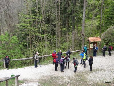 Marjan_Fistravec_Cemseniska_planina_2014-047.JPG