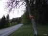 Marjan_Fistravec_Cemseniska_planina_2014-001.JPG