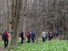 Marjan_Fistravec_Cemseniska_planina_2014-025.JPG