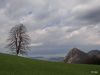 Marjan_Fistravec_Cemseniska_planina_2014-039.JPG