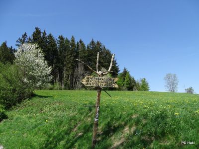 Marjan_Fistravec_Del_poti_cez_Pohorje_2018-037.JPG