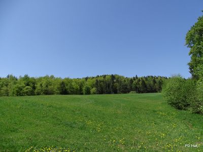 Marjan_Fistravec_Del_poti_cez_Pohorje_2018-042.JPG
