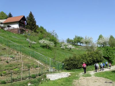 Marjan_Fistravec_Del_poti_cez_Pohorje_2018-043.JPG
