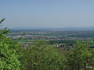 Marjan_Fistravec_Del_poti_cez_Pohorje_2018-045.JPG