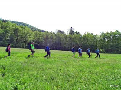 Marjan_Fistravec_Del_poti_cez_Pohorje_2018-047.JPG