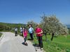 Marjan_Fistravec_Del_poti_cez_Pohorje_2018-038.JPG