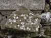 Marjan_Fistravec_Geos_2017-057.JPG