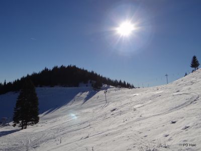Marjan_Fistravec_Golte_2013-003.JPG