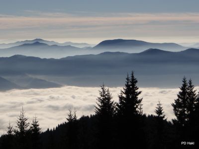 Marjan_Fistravec_Golte_2013-028.JPG