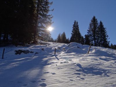 Marjan_Fistravec_Golte_2013-029.JPG
