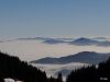 Marjan_Fistravec_Golte_2013-004.JPG