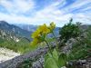 Marjan_Fistravec_Kamniti_lovec_in_Visarje_23_6_2018-024.JPG