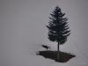 Fistravec_Marjan_Kobansko_2013__281829.JPG