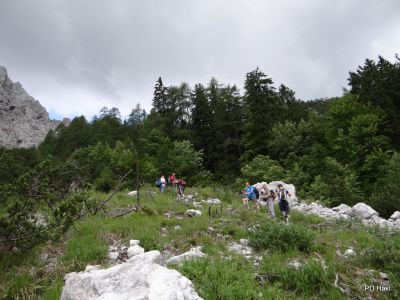 Marjan_Fistravec_Kurji_Vrh_2012-017.JPG