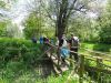 Marjan_Fistravec_Ob_Muri_2016-028.JPG