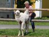 Marjan_Fistravec_Ob_Muri_2016-040.JPG