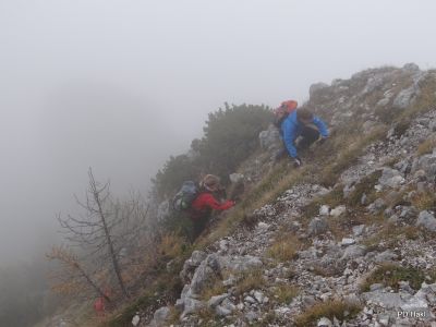 Marjan_Fistravec_Olseva_2014-048.JPG