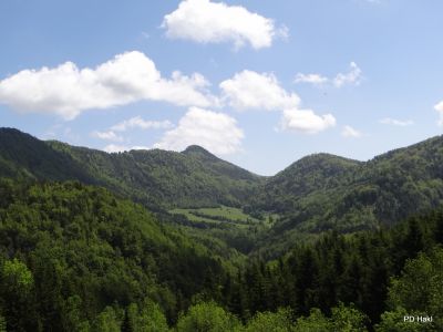 Marjan_Fistravec_Paski_Kozjak_2014-020.JPG