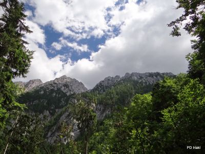 Marjan_Fistravec_Tolsti_vrh_2017-048.JPG