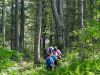 Marjan_Fistravec_Trdinov_vrh_2016-010.JPG