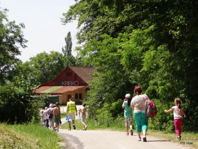 Marjan_Fistravec_Trojiska_Pohodna_Pot_2014-026.JPG