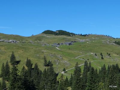Marjan_Fistravec_Velika_planina_2013-005.JPG