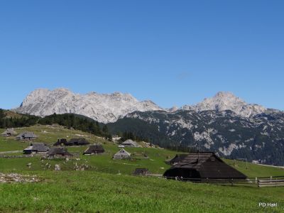 Marjan_Fistravec_Velika_planina_2013-008.JPG