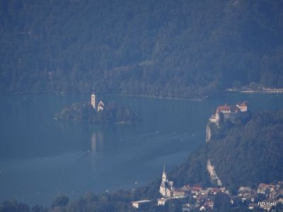 Marjan_Fistravec_Zelenica_Begunscica_2012-029.JPG