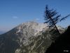 Marjan_Fistravec_Zelenica_Begunscica_2012-036.JPG