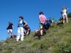Marjan_Fistravec_Zelenica_Begunscica_2012-062.JPG