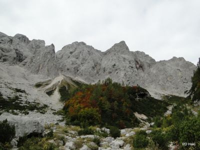 Marjan_Pauric_-046.JPG