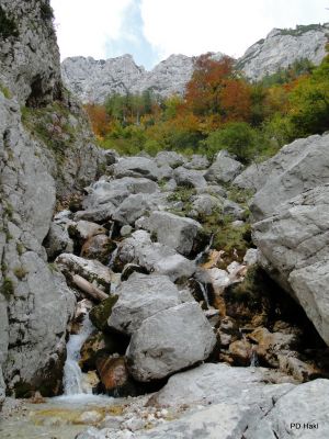 Marjan_Pauric_-117.JPG
