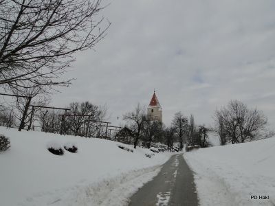 Marjan_Pauric_2_Salckin_pohod_24_2_2018-106.JPG