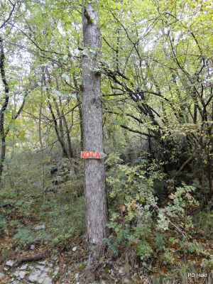 Marjan_Pauric_6_Pohod_po_krasu_2018-103.JPG