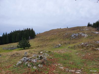 Marjan_Pauric_Goli_vrh_Menina_planina-027.jpg