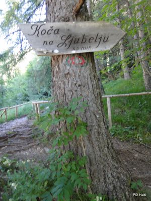 Marjan_Pauric_Kosutica_2021-005.JPG
