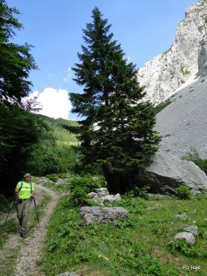 Marjan_Pauric_Kosutica_2021-123.JPG