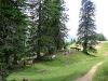 Marjan_Pauric_Kosutica_2021-111.JPG