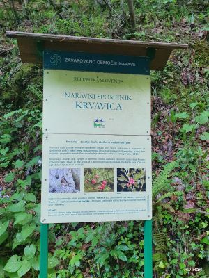 Marjan_Pauric_Krvavica_2022-012.jpg