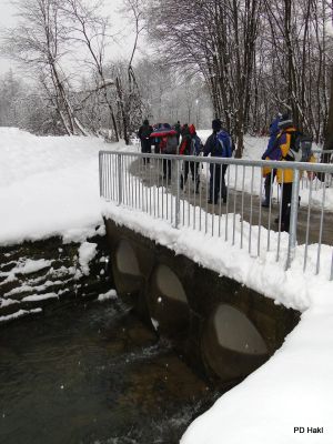 Marjan_Pauric_Ljutomerski_pohod_2018-033.JPG