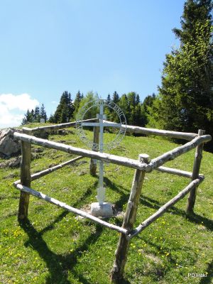 Marjan_Pauric_Ojstrnik_2017-287.JPG