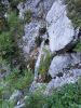 Marjan_Pauric_Planjava_2021-056.jpg