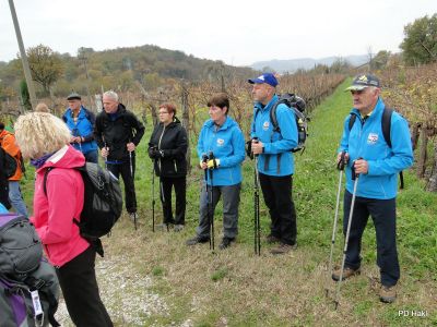 Marjan_Pauric_Pohod_po_Vitoveljski_krozni_poti_z_vzponom_na_Kopitnik_2017-007.JPG